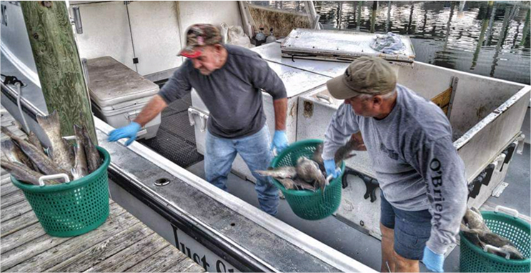 fishermen first image